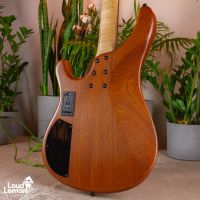 Sandberg Basic Ken Taylor 4 Spalted Maple 2010 Germany бас-гитара