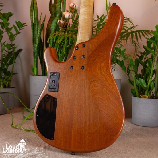 Sandberg Basic Ken Taylor 4 Spalted Maple 2010 Germany бас-гитара