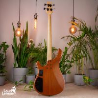 Sandberg Basic Ken Taylor 4 Spalted Maple 2010 Germany бас-гитара