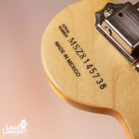 Fender Kenny Wayne Shepherd Stratocaster Arctic White 2008 Mexico электрогитара