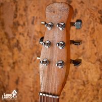 Silvertone U1 1300 Model Bronze 1964 USA электрогитара