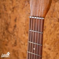 Silvertone U1 1300 Model Bronze 1964 USA электрогитара