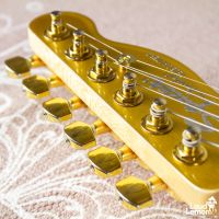 Squier Artist Series John 5 Signature J5 Telecaster Frost Gold 2013 China электрогитара
