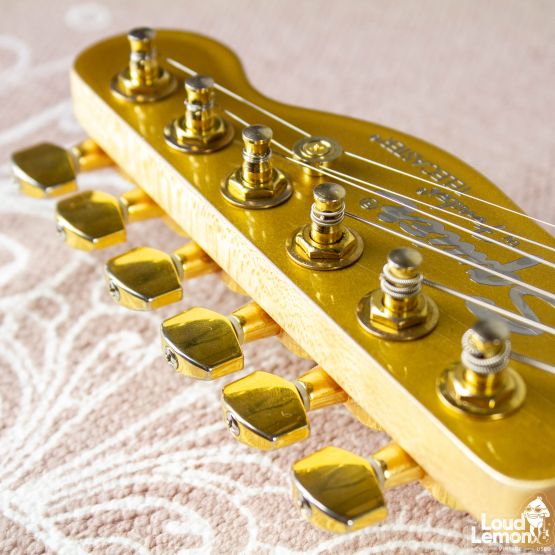 Squier Artist Series John 5 Signature J5 Telecaster Frost Gold 2013 China электрогитара