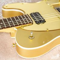 Squier Artist Series John 5 Signature J5 Telecaster Frost Gold 2013 China электрогитара