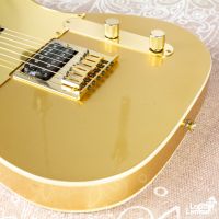 Squier Artist Series John 5 Signature J5 Telecaster Frost Gold 2013 China электрогитара