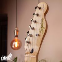 Squier Paranormal Cabronita Telecaster Thinline Fiesta Red электрогитара