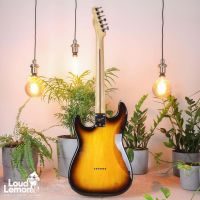 Squier Pawn Shop '51 Sunburst 2013 Indonesia электогитара
