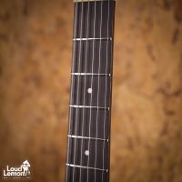 Star's ELS-1 Sitar Guitar White Crack 2022 Japan электроситар