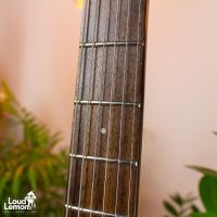 Sterling by Music Man JP50 John Petrucci Black 2010's Indonesia электрогитара