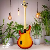 Sterling by Music Man S.U.B Ray 4 Honeyburst 2000's Indonesia бас-гитара