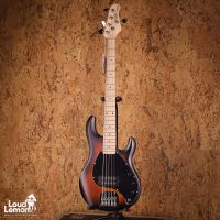 Sterling by Music Man StingRay Ray 5 Vintage Sunburst Satin 2023 Indonesia бас-гитара