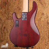 Sterling by Music Man StingRay Ray 5 Walnut Satin 2023 Indonesia бас-гитар