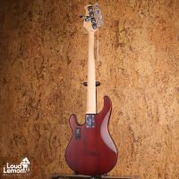 Sterling by Music Man StingRay Ray 5 Walnut Satin 2023 Indonesia бас-гитар