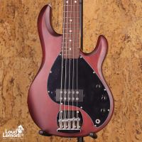 Sterling by Music Man StingRay Ray 5 Walnut Satin 2023 Indonesia бас-гитар