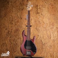 Sterling by Music Man StingRay Ray 5 Walnut Satin 2023 Indonesia бас-гитар