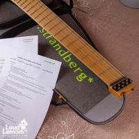 Strandberg Boden Standard 8 Maple Flame Blue 2018 Indonesia электрогитара