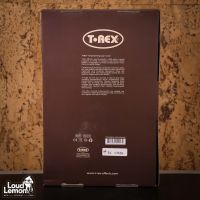 T-Rex Replicator Tape Echo Denmark плёночный дилей / хорус