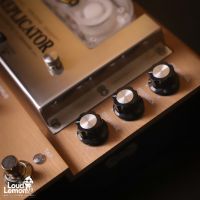 T-Rex Replicator Tape Echo Denmark плёночный дилей / хорус