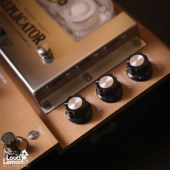 T-Rex Replicator Tape Echo Denmark плёночный дилей / хорус