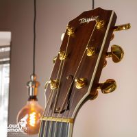 Taylor 810 Natural 1995 USA акустическая гитара с подключением