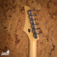 Tokai Limited Edition FVD-65 PGR 1983 Japan электрогитара