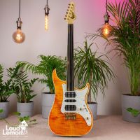 Vigier Excalibur Surfreter Special Fretless Amber 2004 France безладовая электрогитара