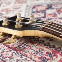 Warwick Streamer Stage I #17-3631 Honey Violin Transparent Satin 2008 Germany бас-гитара