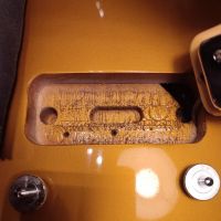 Gibson 30th Anniversary Limited Edition Les Paul Deluxe Bullion Gold 2000 USA электрогитара