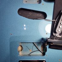 Squier Vintage Modified '51 Ice Blue Metallic 2006 Indonesia электрогитара