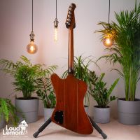 Gibson Firebird Sunburst 1982 USA электрогитара
