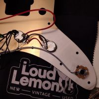 Squier 40th Anniversary Jazzmaster Gold Edition Olympic White Indonesia электрогитара электрогитара