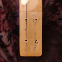 Eko Dragon Honey Burst 1968 Italy электрогитара