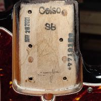 Fender American Professional II Precision Bass V Sunburst 2021 USA бас-гитара