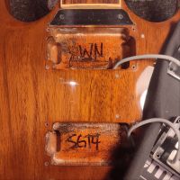 Gibson 120th Anniversary SG Standard Walnut 2014 USA электрогитара