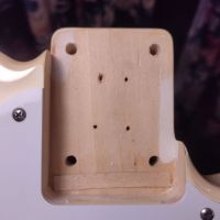 Fender TL-STD Telecaster Blonde 2011 Japan электрогитара