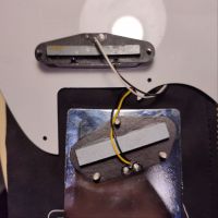 Fender TL-STD Telecaster Blonde 2011 Japan электрогитара