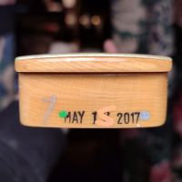 Fender American Professional Stratocaster Sienna Sunburst 2017 USA электрогитара