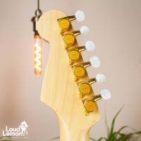 Fender Stratocaster Richie Kotzen See Thru White 2006 Japan электрогитара