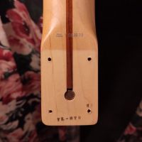 Fender TL-STD Standard Telecaster Sonic Blue 2009 Japan электрогитра