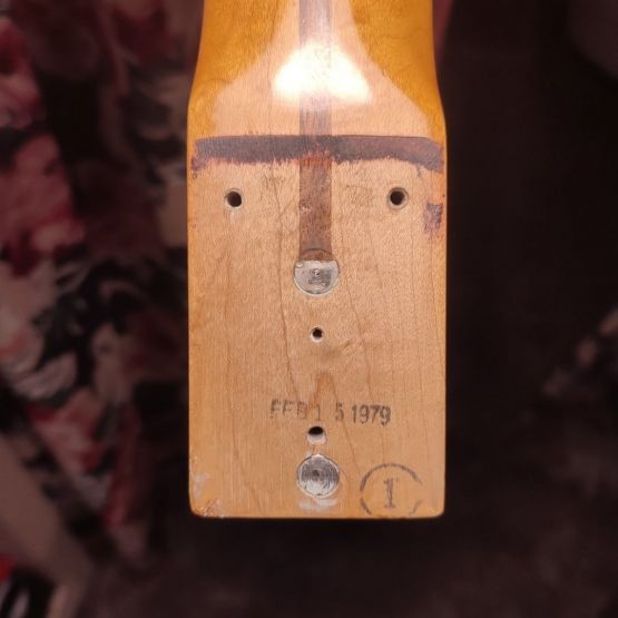 Music Man Sabre II Walnut 1979 USA электрогитара