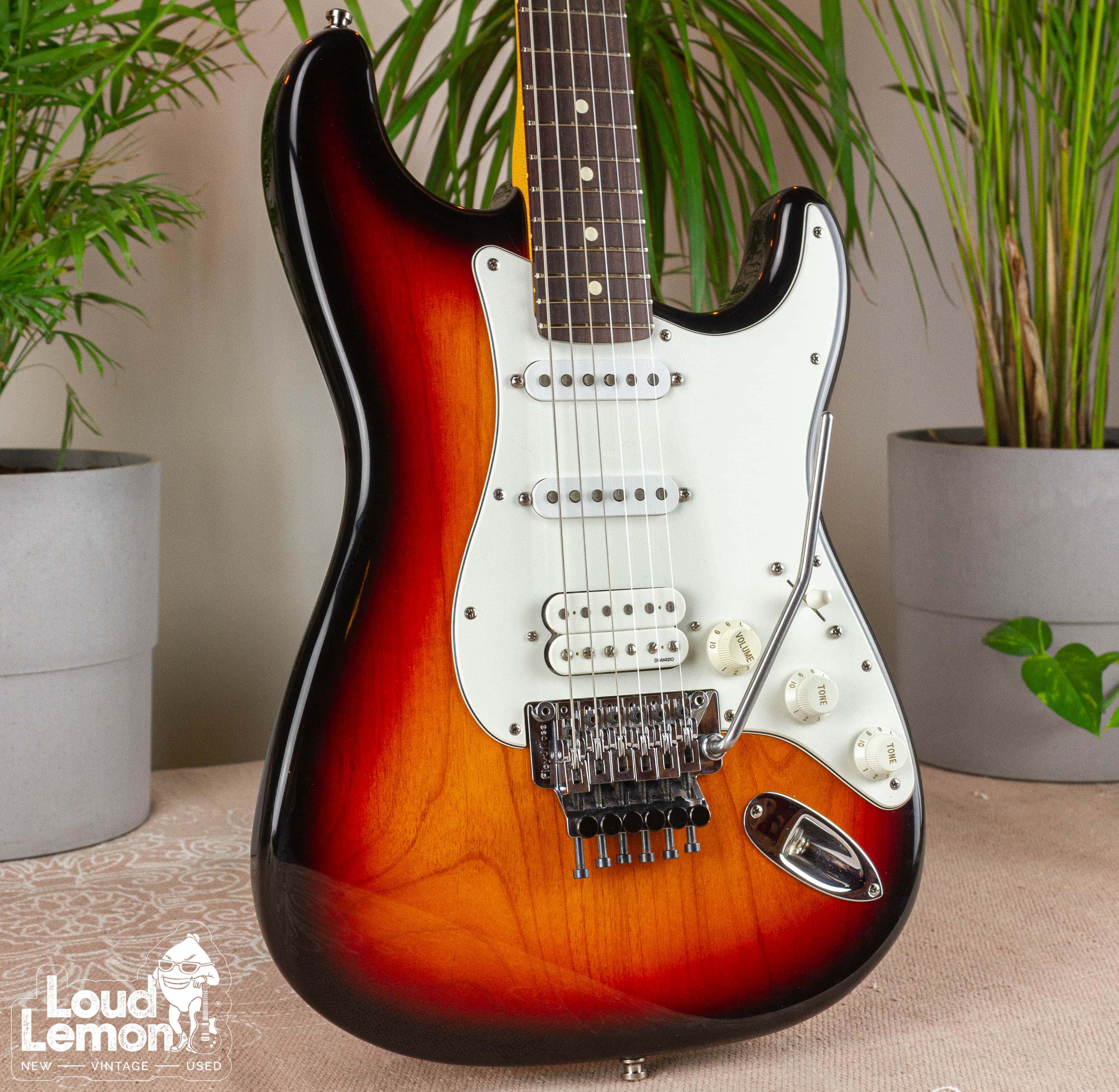 fender stratocaster floyd