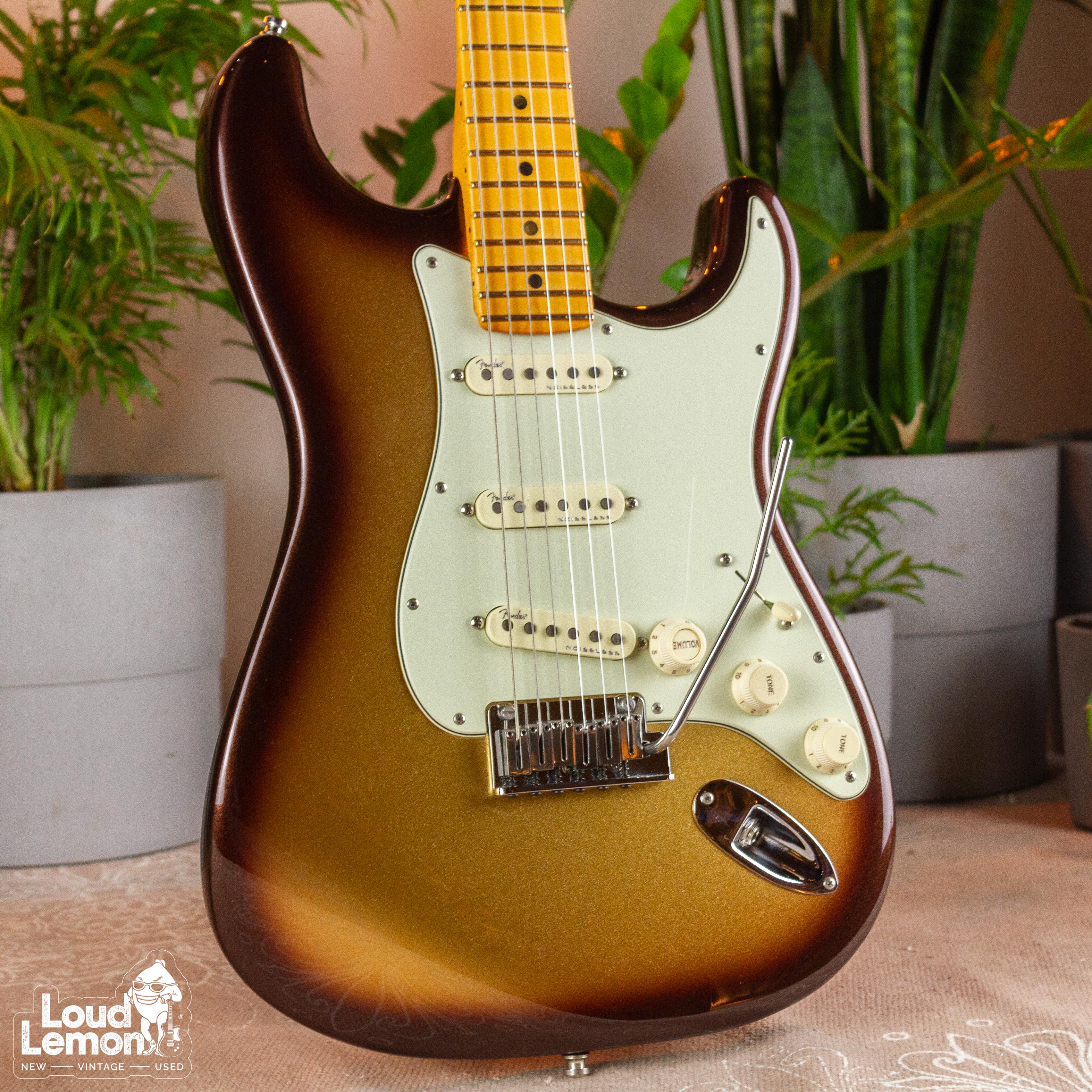 mocha stratocaster