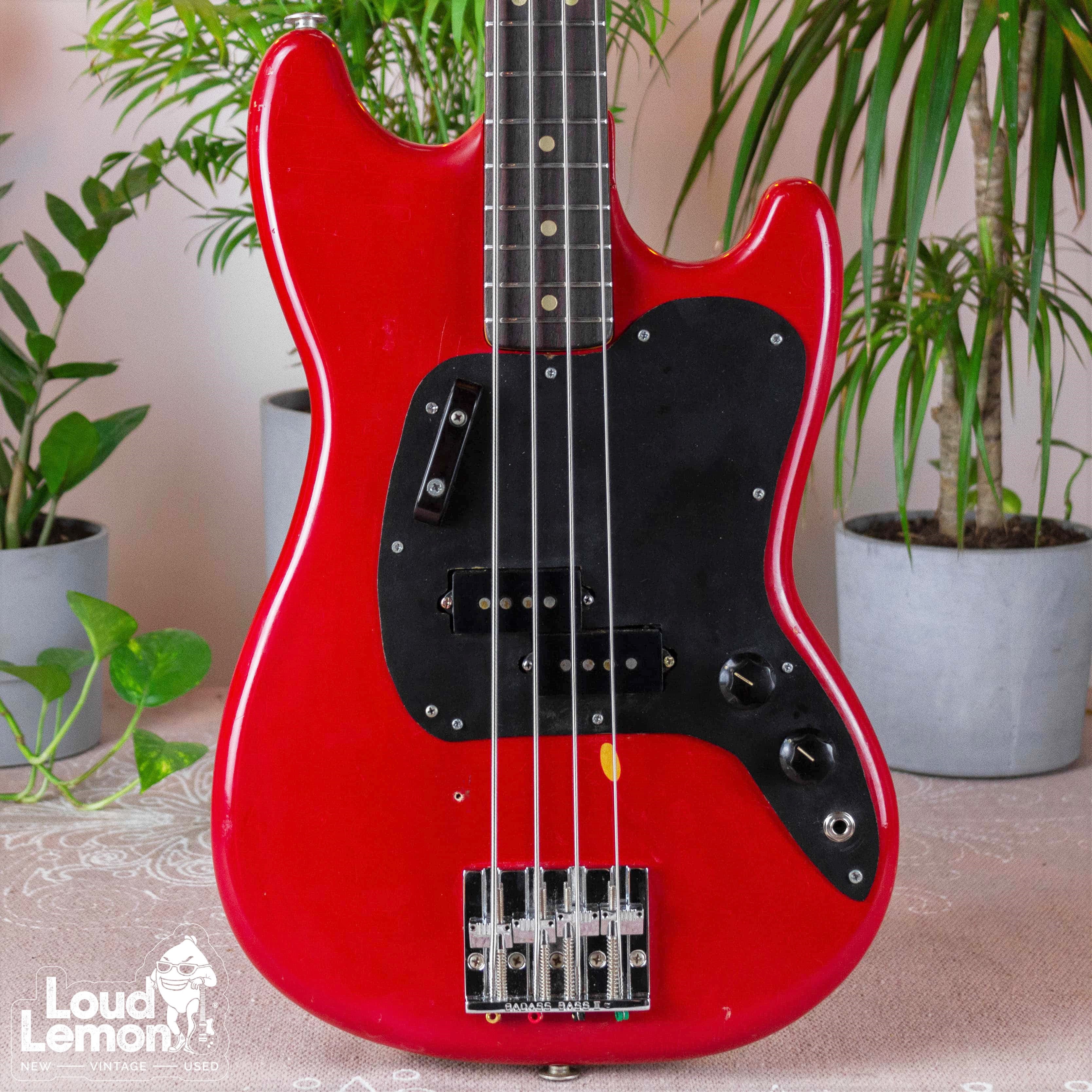 1975 fender musicmaster bass