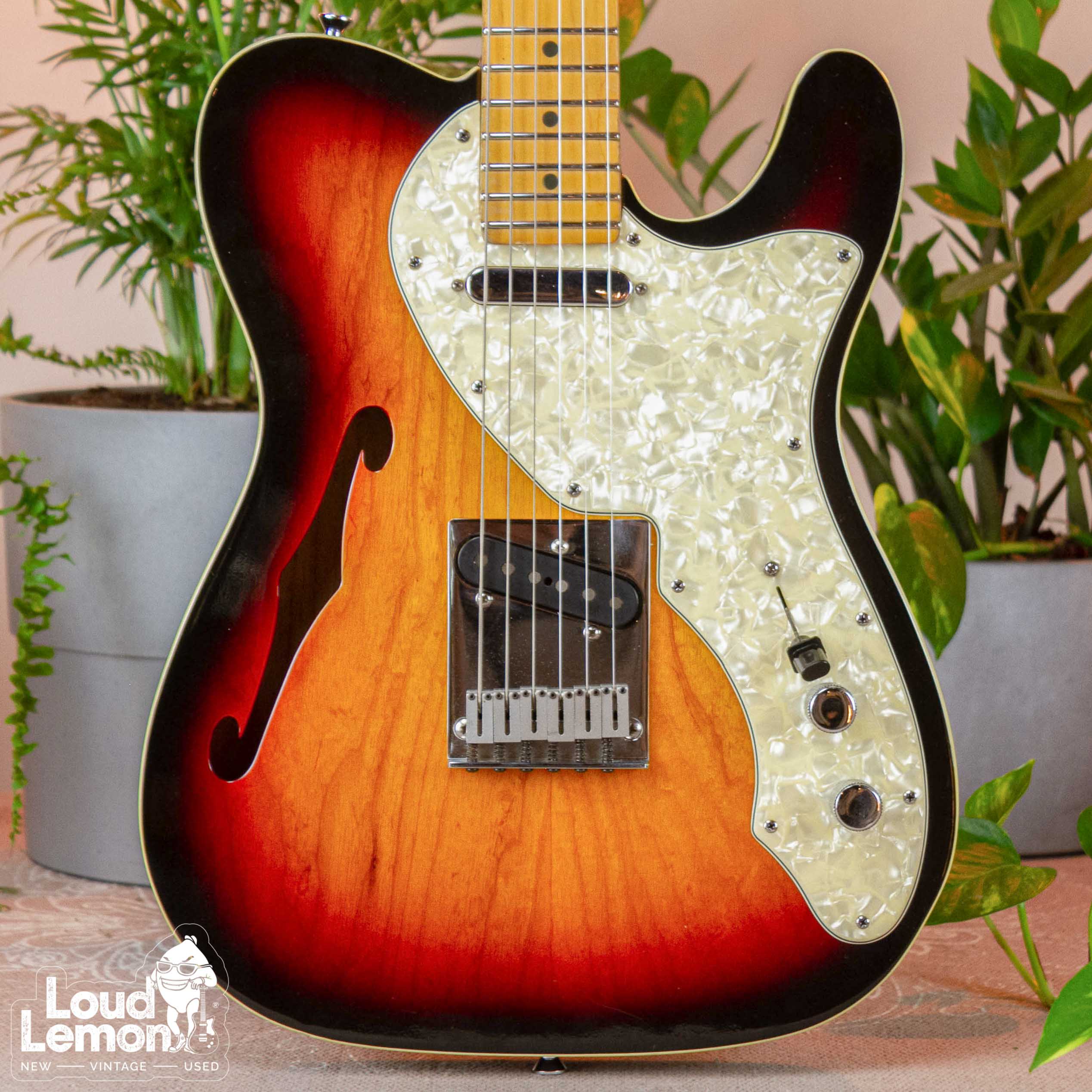 fender telecaster thinline sunburst