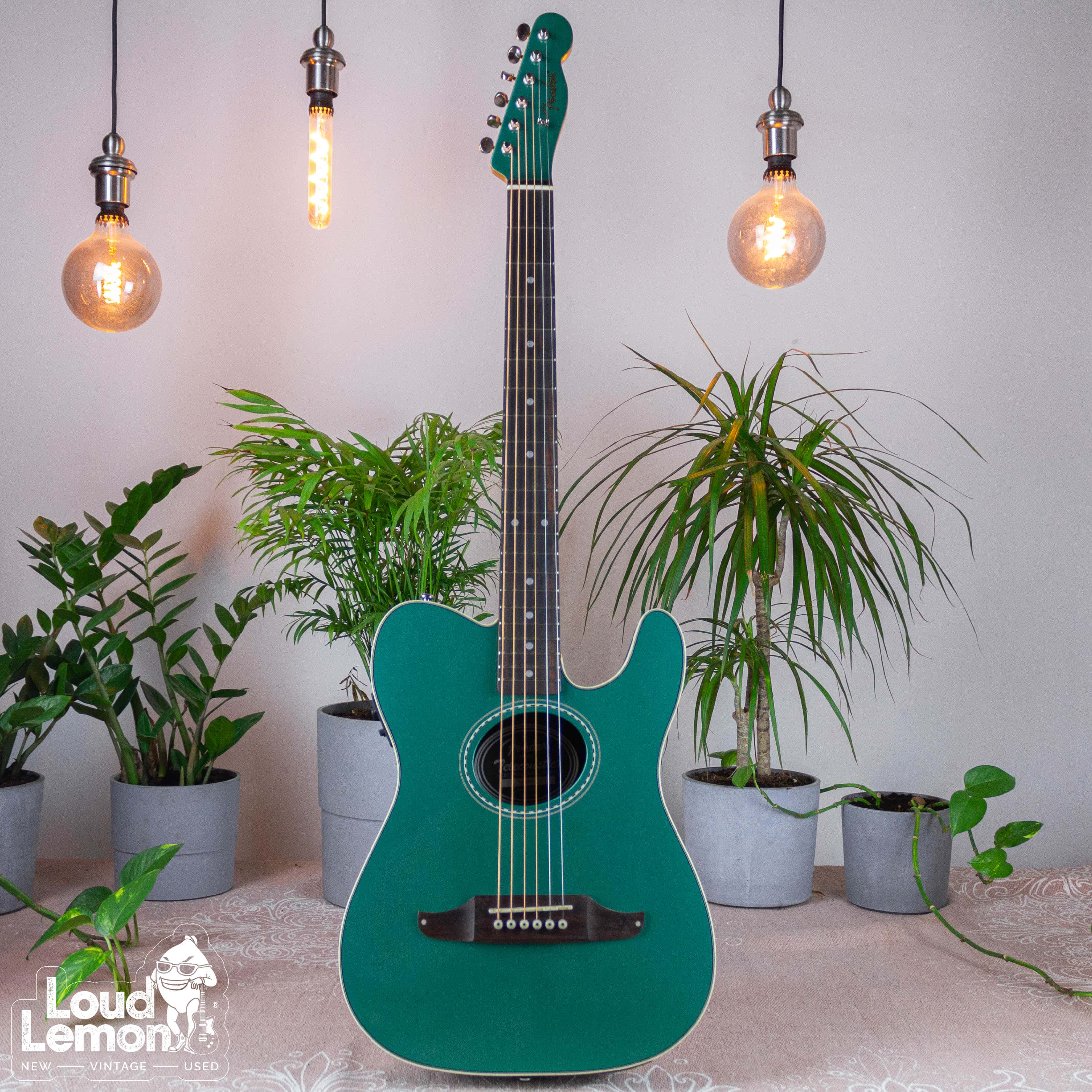 fender telecoustic plus