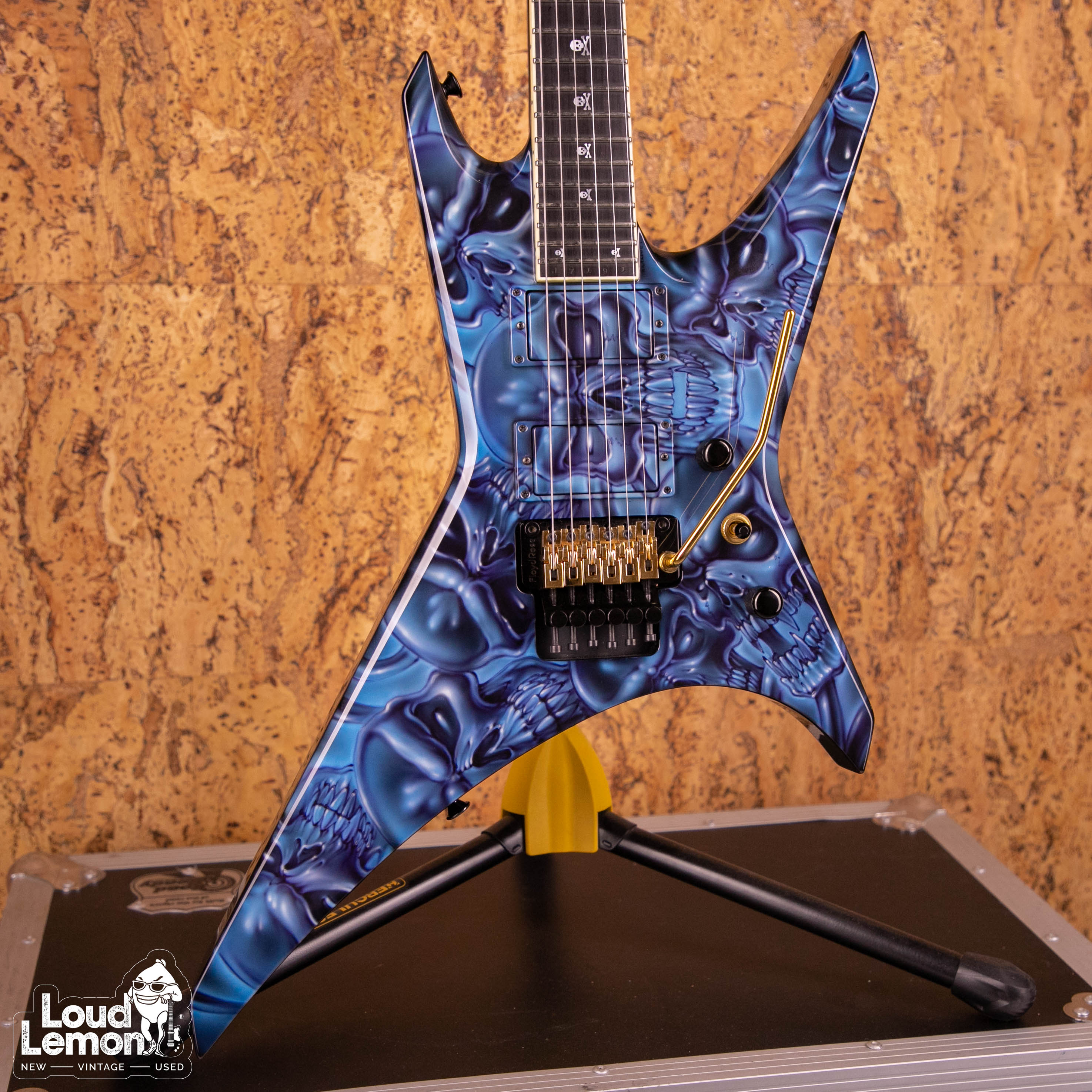 Jackson Custom Shop Mike Learn Skulls Graphic Warrior 2007 USA  электрогитара — купить в магазине винтажных гитар | Loud Lemon