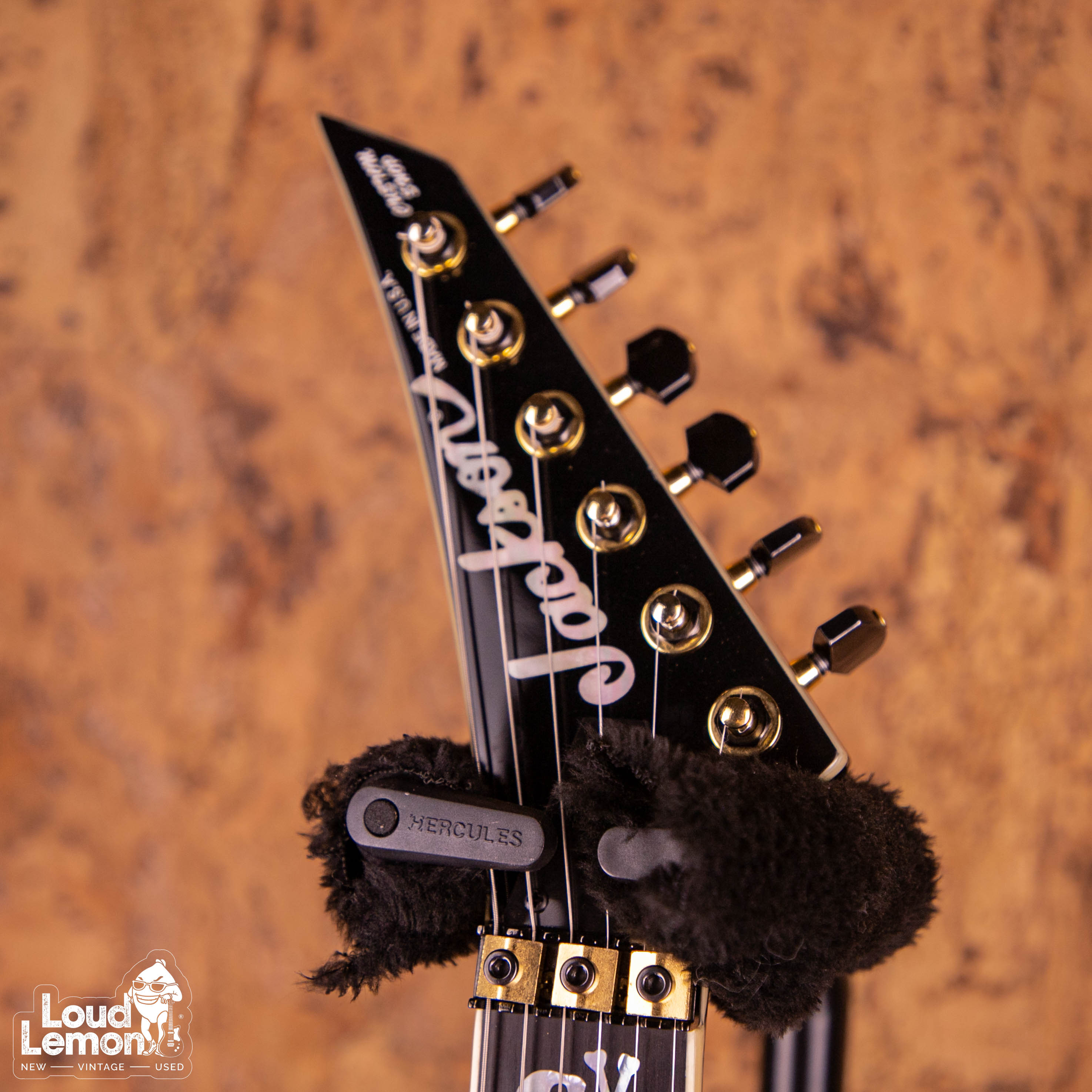 Jackson Custom Shop Mike Learn Skulls Graphic Warrior 2007 USA  электрогитара — купить в магазине винтажных гитар | Loud Lemon